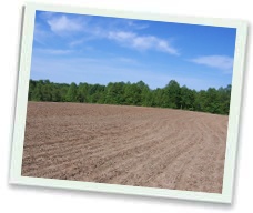 great deer hunting land