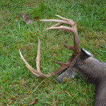 Ohio Deer Hunting Mound Hill Whitetail Trophy photo 9