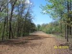 Food Plots 27