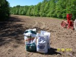 Food Plots 29