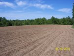 Food Plots 31