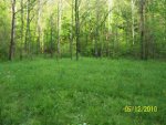 Food Plots 20