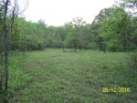 Food Plots 21