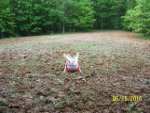 Food Plots 22