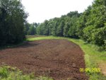 Food Plots 22