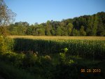 Food Plots 113