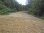 Food Plots 2012-6