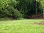 Food Plots 2012-4