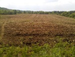 Food Plots 116