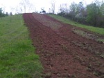 Food Plots 117