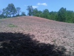 Food Plots 118