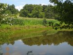 Food Plots 2011-12