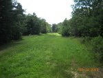 Food Plots 2011-4