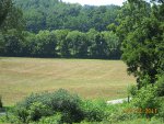 Food Plots 2011-7