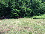 Food Plots Spring 2013-1