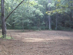 Food Plots Spring 2013-11