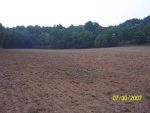 Food Plots 11
