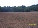 Food Plots 11