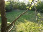 Food Plots 10