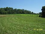 Food Plots 16