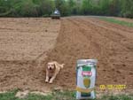 Food Plots 2