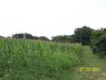 Food Plots 3