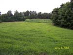 Food Plots 4