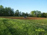 Food Plots 6